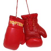 Mini TOP TEN Boxing Gloves